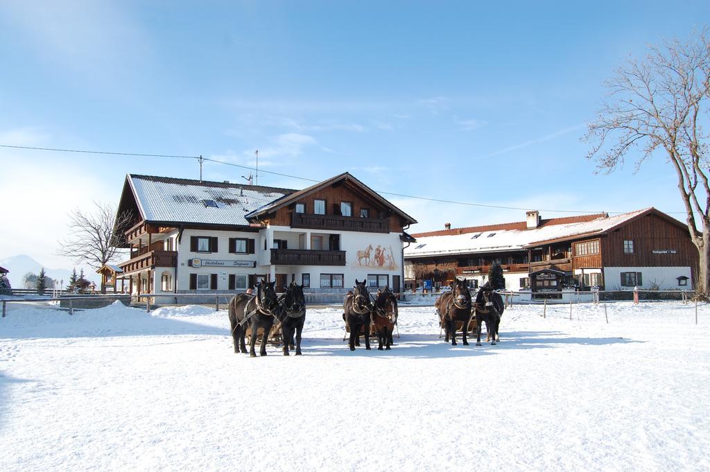 Gaestehaus Stefanie Schwangau Ruang foto
