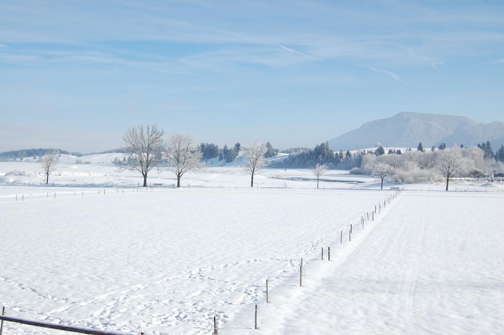 Gaestehaus Stefanie Schwangau Ruang foto